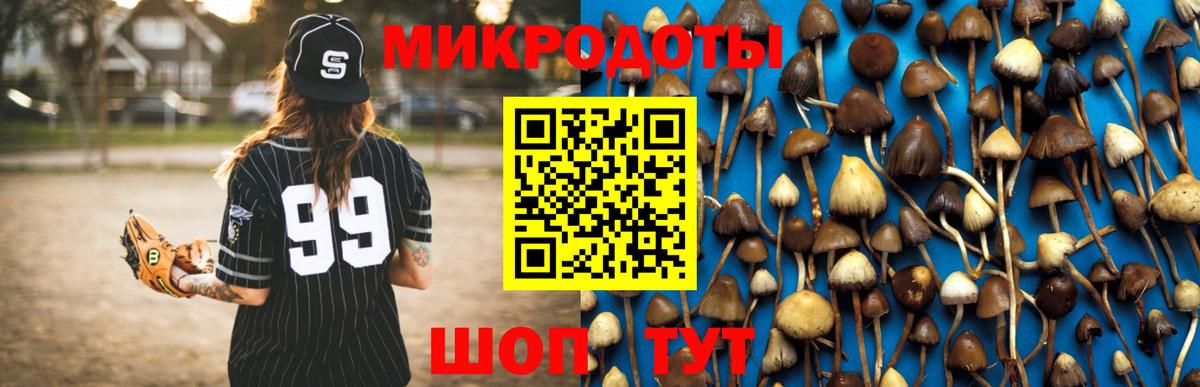 Галлюциногенные грибы мухоморы Усть-Илимск